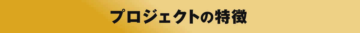 プロジェクトの特徴